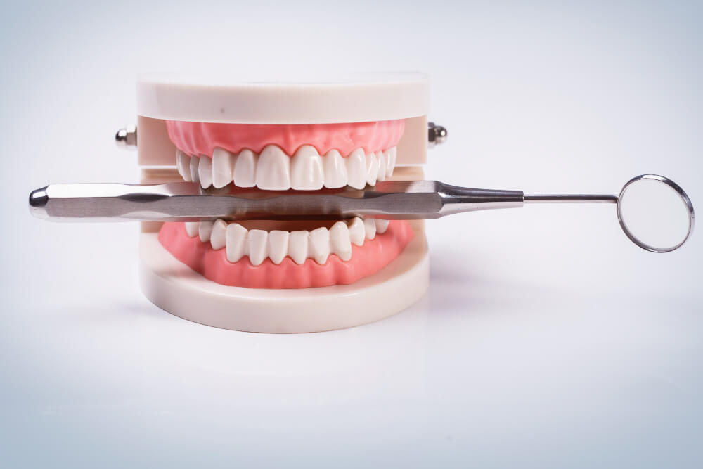 a dental model biting on a dental concave mirror