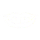 dental venners